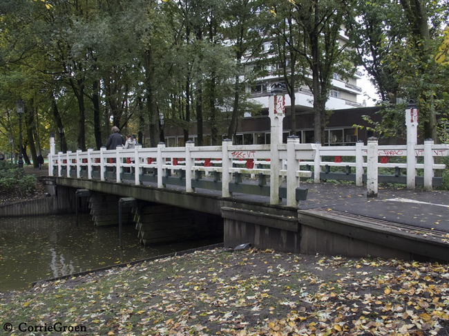 Oosterparkbrug
              <br/>
              Corrie Groen-Pickhard, 2015-10-22